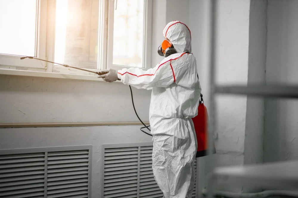 Professional mold remediation services in Rockland, WI